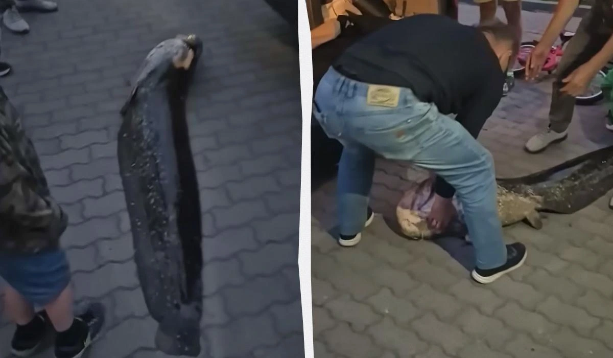 У Польщі двоє українців вбили місцеву легенду і розлютили пів Варшави